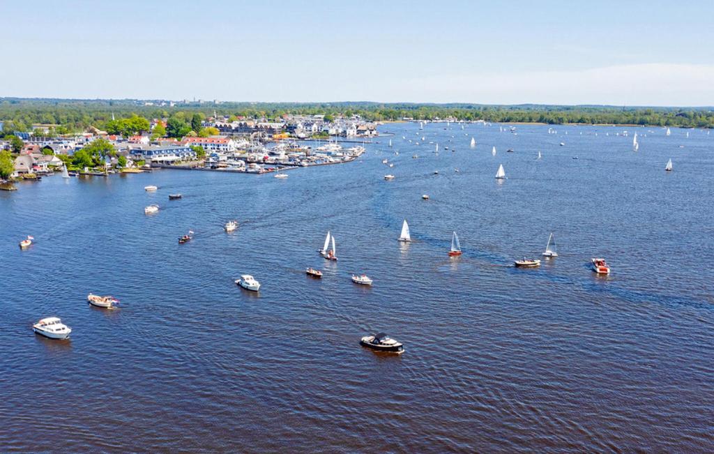 De Vinkeveense Plassen